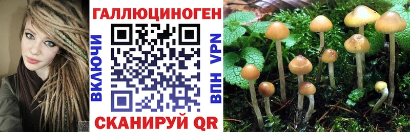 Псилоцибиновые грибы Magic Shrooms Боровичи